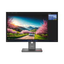 Monitorius - Lenovo P32UD-40 31,5 colio UHD 3840x2160 Thunderbolt 4 Monitorius - Lenovo P32UD-40 31,5 colio UHD 3840x2160 Thunderbolt 4