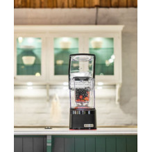 Blendtec Professional 800