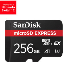 ATMINTINĖ MIKRO SDXC 256GB...