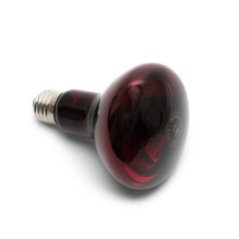 Bodi-tek Infrared Heat Lamp