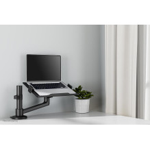 NB ACC DESK STAND 11.6-17.3" / DS20-425BL1 NEOMOUNTS