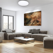 Ceiling light Milagro, LED, 72W, 3-6K, 4320lm, Ø55.