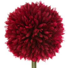 Artificial branch Atmosphera Pompom, 60 cm Artificial branch Atmosphera Pompom, 60 cm