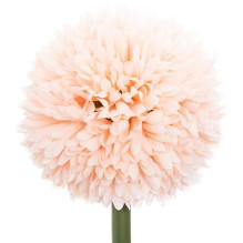 Dirbtinė šakelė Atmosphera Pompom, 60 cm Dirbtinė šakelė Atmosphera Pompom, 60 cm