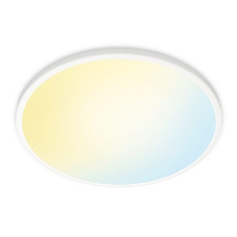 SUPERSLIM WIZ CEILING 36W W...