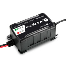 Automobilio Akumuliatoriaus Įkroviklis - everActive CBC1 6V / 12V Juodas Automobilio Akumuliatoriaus Įkroviklis - everActive CBC1 6V / 12V Juodas