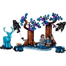 CONSTRUCTION FORBIDDEN FOREST 76475 CONSTRUCTION FORBIDDEN FOREST 76475
