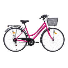 Bicycle city Bottari Pisa, 28 ", 18" (44.45 cm) frame