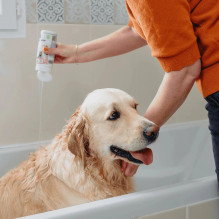 VIRBAC Allerderm normal skin - shampoo for dogs and cats - 250 ml VIRBAC Allerderm normal skin - shampoo for dogs and cats - 250 ml