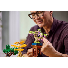 LEGO BOTANICALS 10373 Mini Bonsai Trees LEGO BOTANICALS 10373 Mini Bonsai Trees