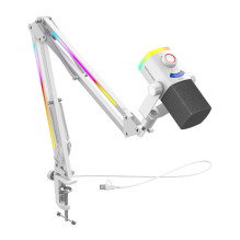 Mikrofonas - Fifine AM8PROT Dinaminis USB / XLR, 48 kHz, Kardioidinis, Baltas
