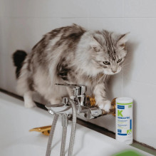 VIRBAC Sebolytic - shampoo for dogs and cats - 250 ml