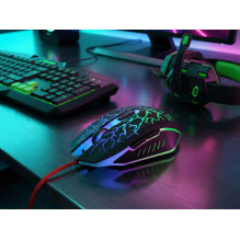 Esperanza EGM211R mouse Right-hand USB Type-A Optical 2400 DPI Esperanza EGM211R mouse Right-hand USB Type-A Optical 2400 DPI