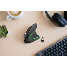 Esperanza EM133 Mouse RF Wireless Optical 1600 DPI Esperanza EM133 Mouse RF Wireless Optical 1600 DPI