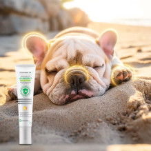 JM SANTE Poliderm UV Protect kremas šunims ir katėms, 15 ml