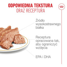 ROYAL CANIN Prancūzų buldogų suaugusių šunų ėdalo dėžutė, skirta virškinimo sveikatai, 12 x 85 g