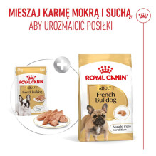 ROYAL CANIN Prancūzų buldogų suaugusių šunų ėdalo dėžutė, skirta virškinimo sveikatai, 12 x 85 g