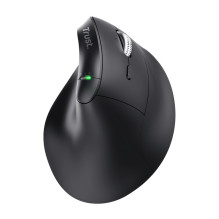 „Trust Vyran“ universali dešiniarankė RF belaidė pelė + „Bluetooth“ optinė, 4800 DPI