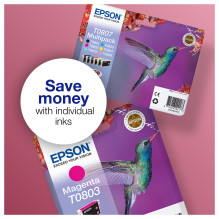 Epson Hummingbird T0807 ink cartridge Epson Hummingbird T0807 ink cartridge