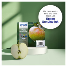 Epson Apple T1293 ink cartridge Epson Apple T1293 ink cartridge