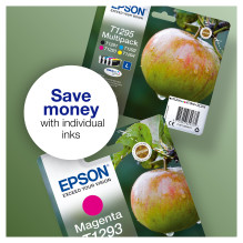 Epson Apple T1293 ink cartridge Epson Apple T1293 ink cartridge