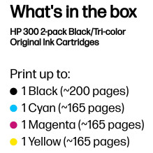 HP 300 2 juodų / trijų spalvų originalių rašalo kasečių pakuotė HP 300 2 juodų / trijų spalvų originalių rašalo kasečių pakuotė