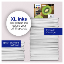 Epson Kiwi 202XL ink cartridge