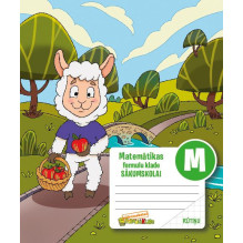 Matematikos sąsiuvinis su...