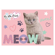 Table mat 55x38cm, various...