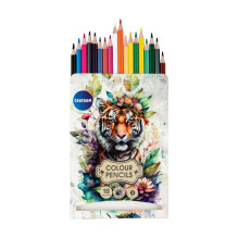 Colored pencils Centrum, 18 pcs