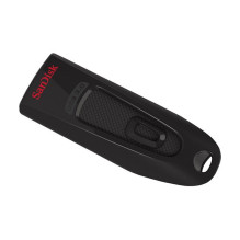 SanDisk 124109 USB flash drive SanDisk 124109 USB flash drive