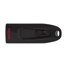 SanDisk 124109 USB flash drive SanDisk 124109 USB flash drive