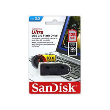SanDisk 124109 USB flash drive