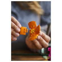 LEGO Botanicals Flower Bouquet LEGO Botanicals Flower Bouquet