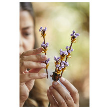 LEGO Botanicals Flower Bouquet LEGO Botanicals Flower Bouquet