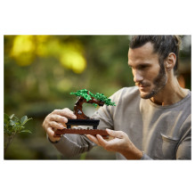 LEGO Botanicals Bonsai Tree LEGO Botanicals Bonsai Tree