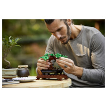 LEGO Botanicals Bonsai Tree LEGO Botanicals Bonsai Tree