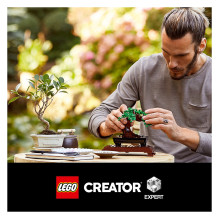 LEGO Botanicals Bonsai Tree LEGO Botanicals Bonsai Tree