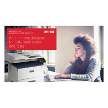 Xerox B315V_DNI multifunction printer