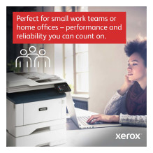 Xerox B315V_DNI multifunction printer