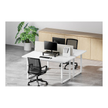 Neomounts NSMONITOR20 monitor mount / stand