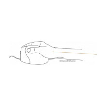 BakkerElkhuizen Evoluent4 mouse