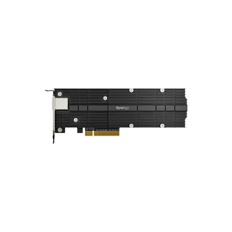 Synology E10M20-T1 interface cards / adapter