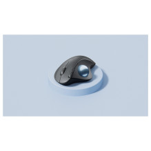 Logitech 910-006221 mouse Logitech 910-006221 mouse