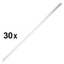 Package 30bc LED Tube PNI D-Light T8 18W Glass Length 120cm 1850lm
