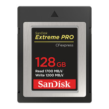 SanDisk SDCFE-128G-GN4NN...