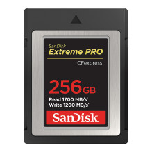 SanDisk SDCFE-256G-GN4NN...