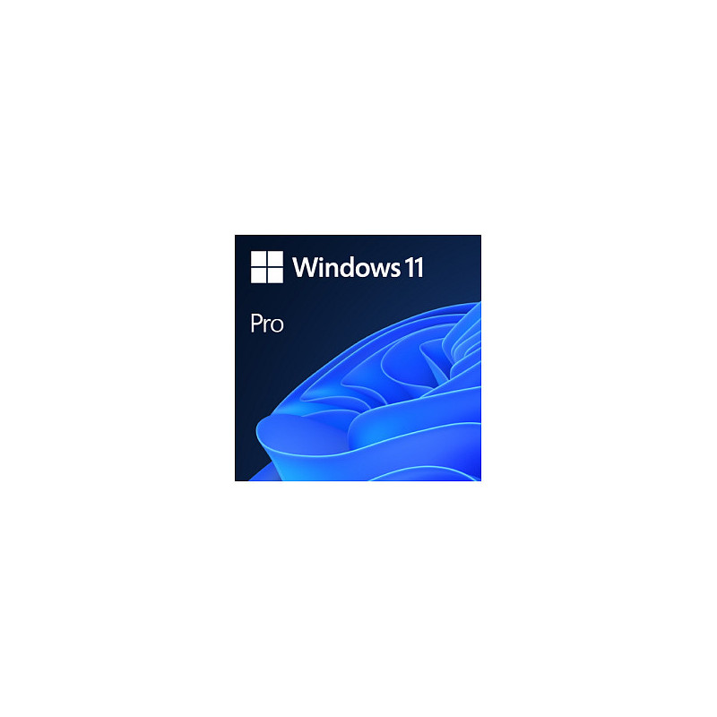 Microsoft Windows 11 Pro