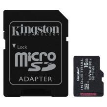 Kingston Technology Industrial