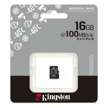 Kingston Technology Industrial